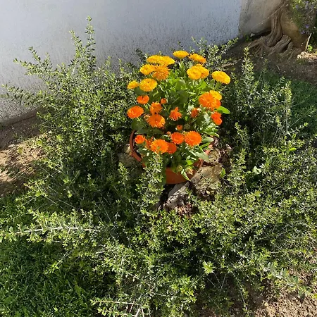 Appartement Il Cortile Di Adele Castelletto sopra Ticino