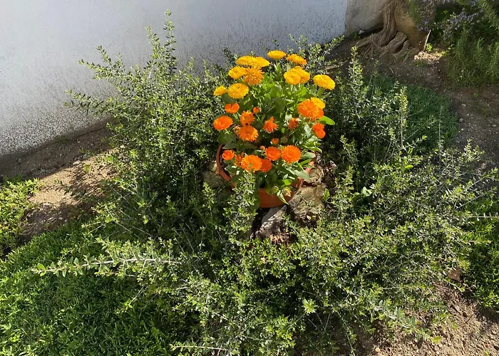 Lägenhet Il Cortile Di Adele Castelletto sopra Ticino